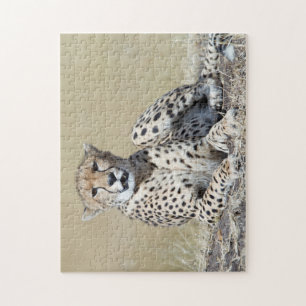 Cheetah Jigsaw Puzzle