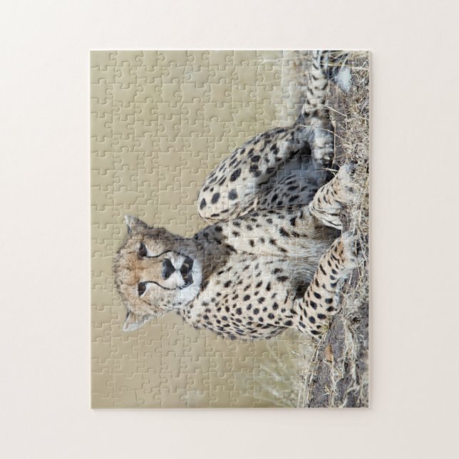 Cheetah Jigsaw Puzzle (Vertical)