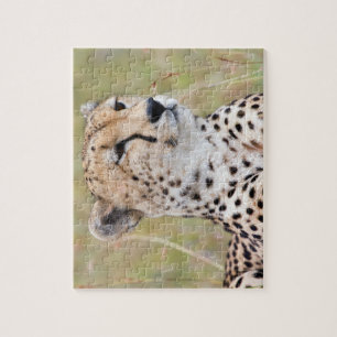 Cheetah Jigsaw Puzzle