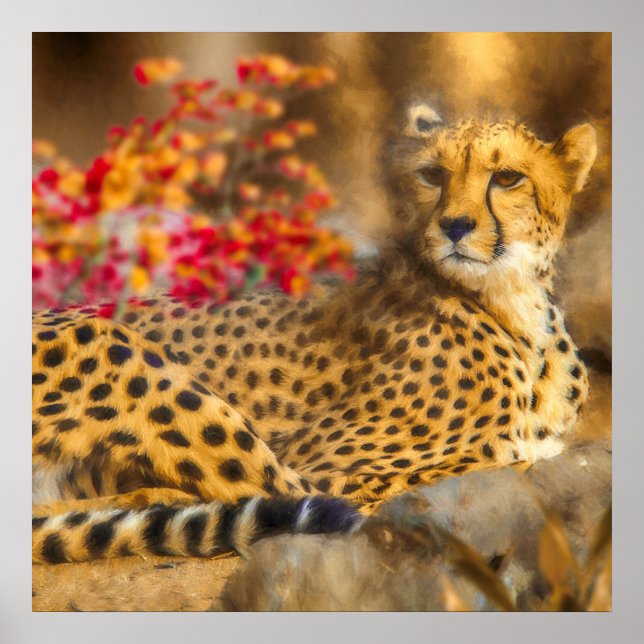 CHEETAH JUST CHILLIN POSTER (Front)