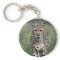 Cheetah key chain