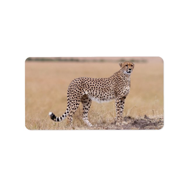 Cheetah Label (Front)