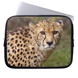 Cheetah Laptop Sleeve