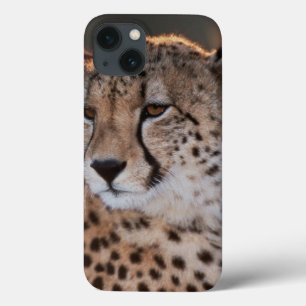 Cheetah looking away iPhone 13 case
