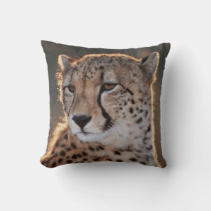 Cheetah looking away cushion