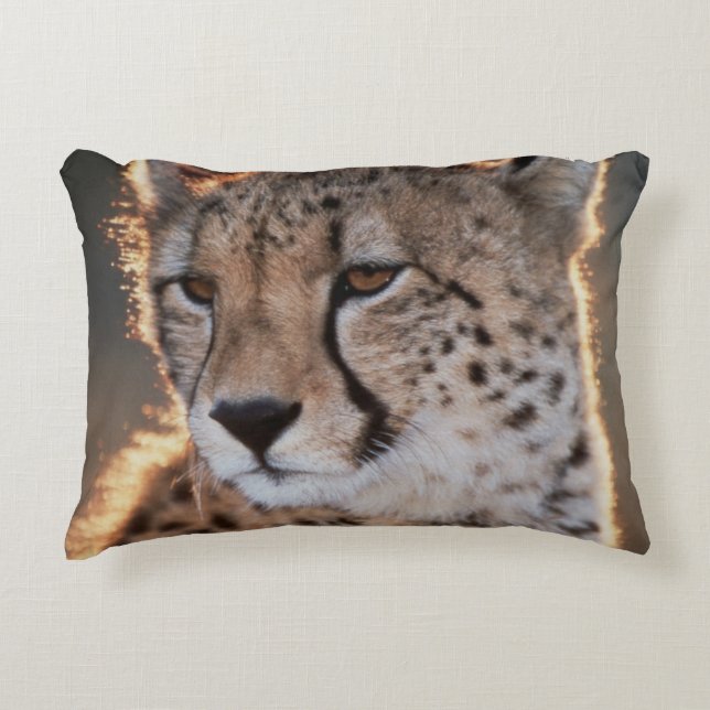 Cheetah looking away decorative cushion (Front)
