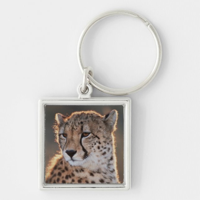 Cheetah looking away key ring (Front)