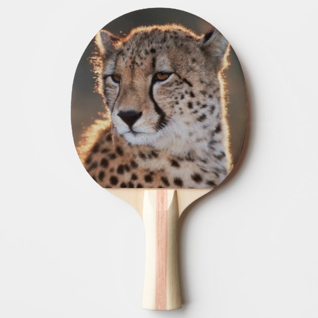 Cheetah looking away ping pong paddle (Front)