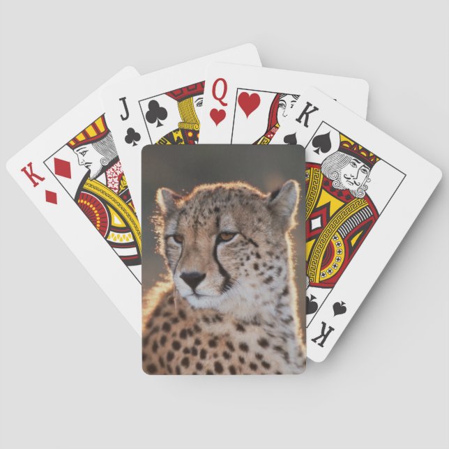 Cheetah looking away playing cards (Back)