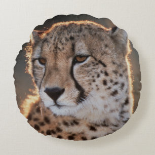 Cheetah looking away round cushion