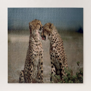 Cheetah Love Jigsaw Puzzle