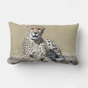 Cheetah Lumbar Cushion