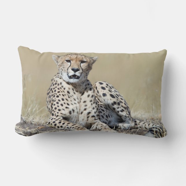 Cheetah Lumbar Cushion (Front)