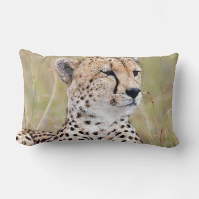 Cheetah Lumbar Cushion (Front)