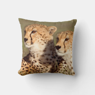 Cheetah Lying In Grass, Ngorongoro Conservation Cushion