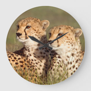 Cheetah Lying In Grass, Ngorongoro Conservation Large Clock