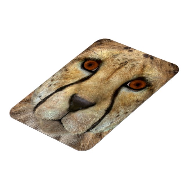 Cheetah Magnet (Left Side)