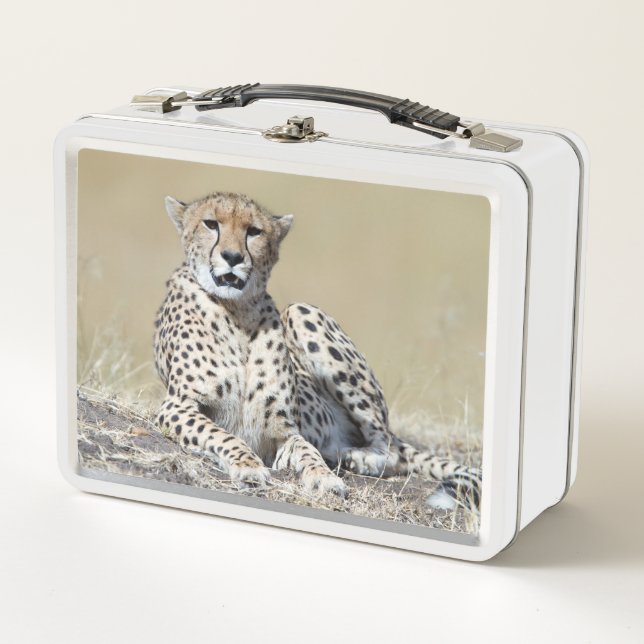 Cheetah Metal Lunch Box (Front)