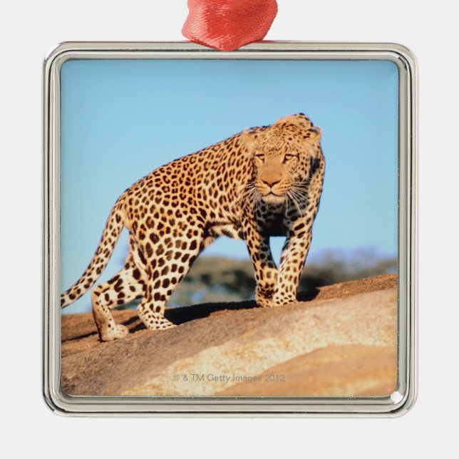 Cheetah Metal Ornament (Front)