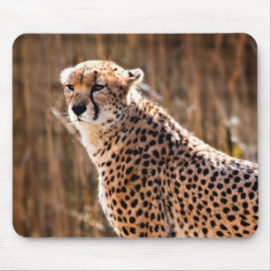 Cheetah Mouse Pad