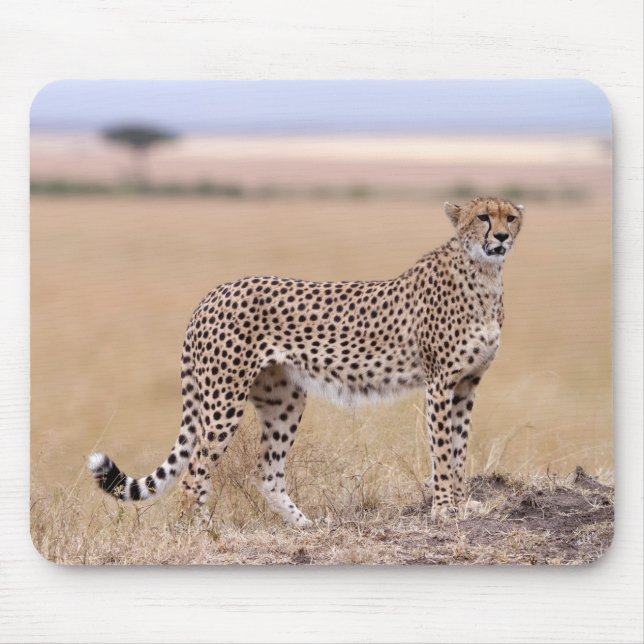 Cheetah Mouse Pad (Front)