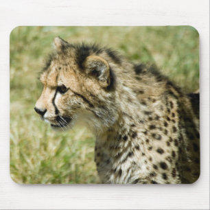 Cheetah Mouse Pad