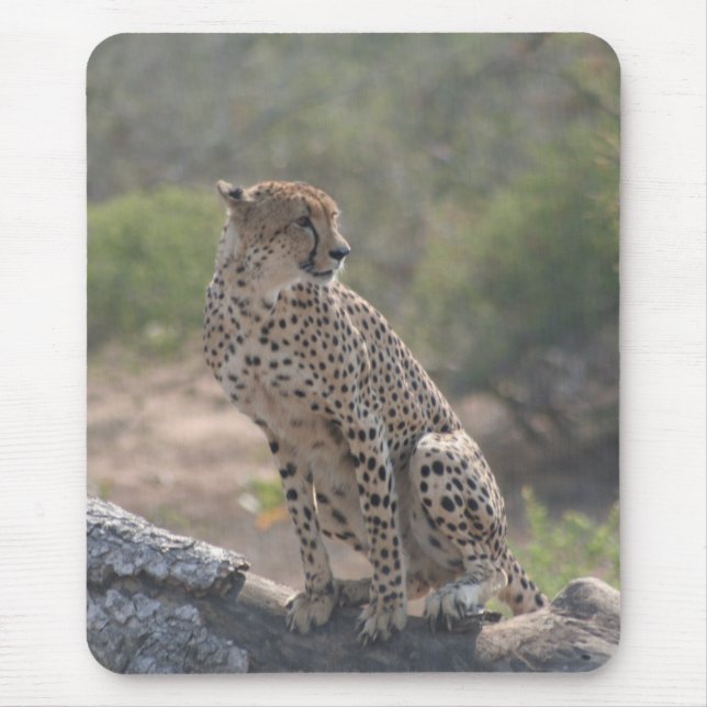 Cheetah Mouse Pad (Front)