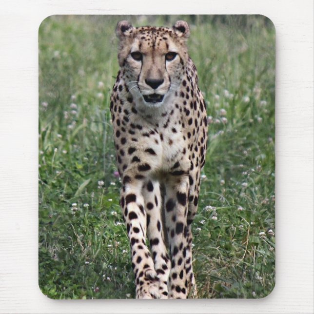 Cheetah mouse pad (Front)
