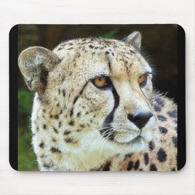 cheetah mouse pad (Front)