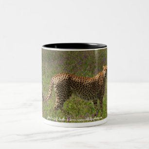 Cheetah Mug