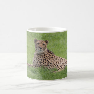 Cheetah Mug