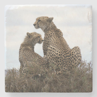 Cheetah Mum and Cub (full colour) Stone Coaster