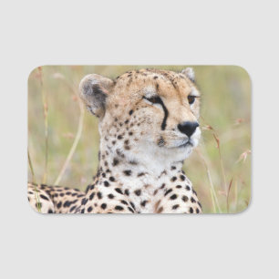 Cheetah Name Tag