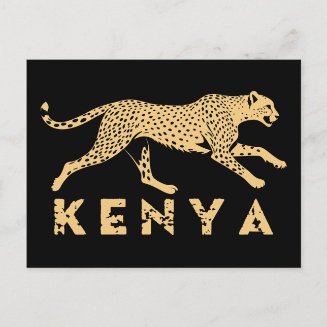 Cheetah Of Kenya Postcard (Front)