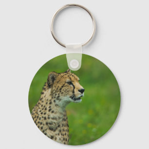Cheetah On A Lookout Key Ring