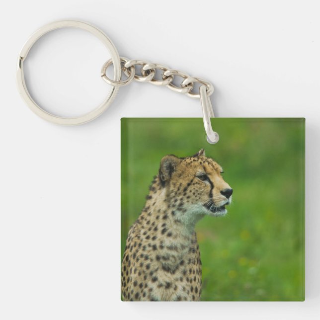 Cheetah On A Lookout Key Ring (Front)
