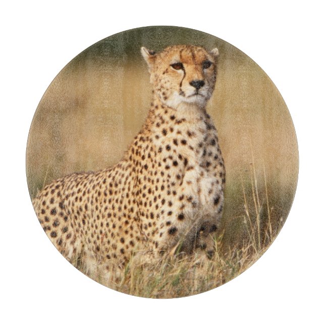 Cheetah on small mound for better visibility cutting board (Front)