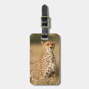 Cheetah on small mound for better visibility luggage tag