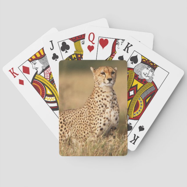 Cheetah on small mound for better visibility playing cards (Back)