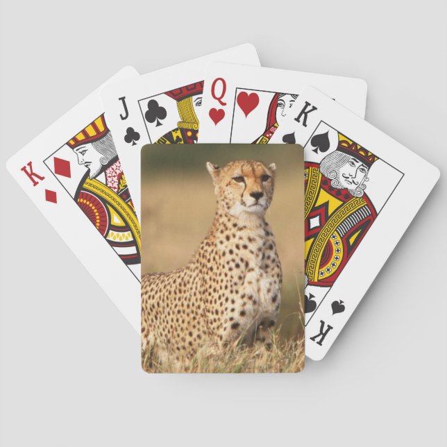 Cheetah on small mound for better visibility playing cards (Back)