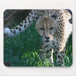 Cheetah on the Hunt Mouse Pad