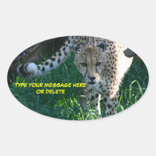 Cheetah on The Hunt Oval Sticker