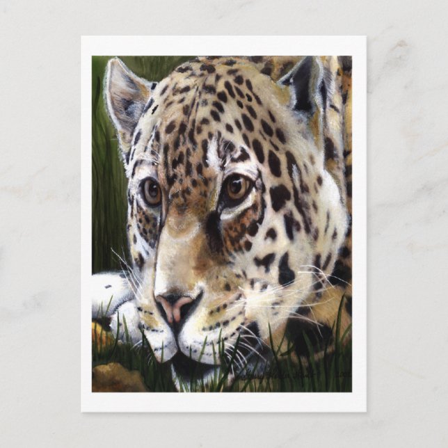 Cheetah Painting  Postcard (Front)