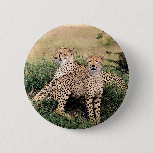 Cheetah Pair 6 Cm Round Badge (Front)