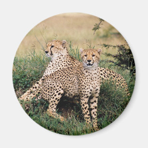 Cheetah Pair Magnet