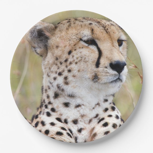 Cheetah Paper Plate (Front)