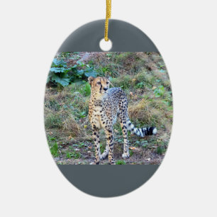 Cheetah Photo Ceramic Tree Decoration