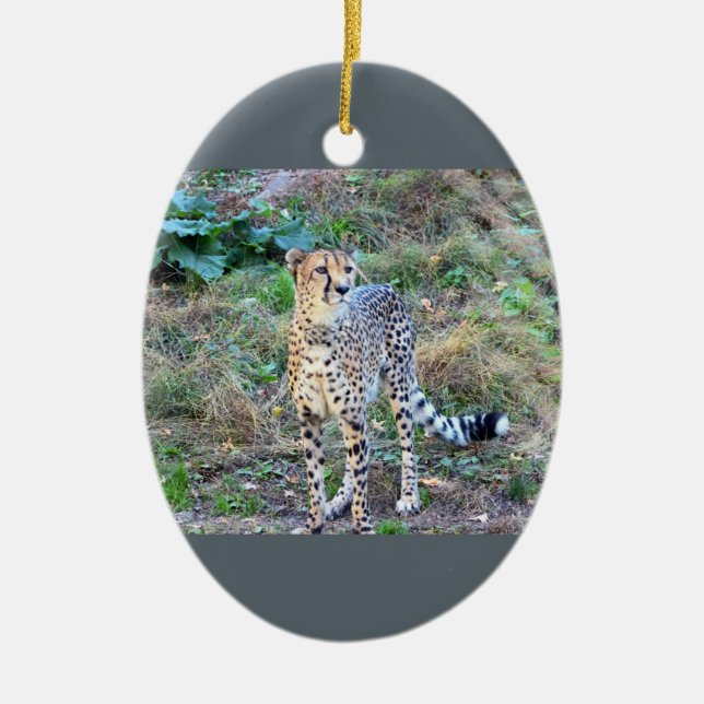 Cheetah Photo Ceramic Tree Decoration (Front)