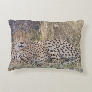 Cheetah photo pillow