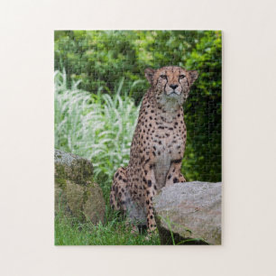 Cheetah Photo Puzzle